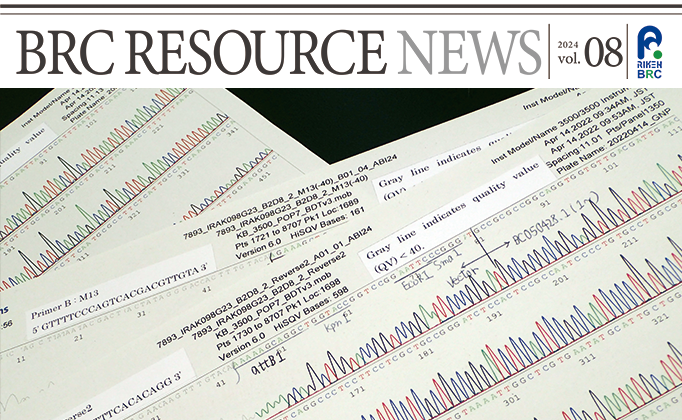 RIKEN_BRC_en's tweet card. "BRC RESOURCE NEWS" Vol.8, which introduces topics related to mouse, plant, cell, gene, and microbe resources, is now available on the website. https://web.brc.riken.jp/en/r_n #RikenBRC #BRC