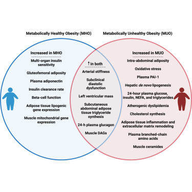 MANunezSanchez's tweet card. Some people with obesity are resistant to the adverse cardiometabolic effects of excess adiposity and are considered to have “metabolically healthy obesity.” Petersen et al. evaluated 100 cardiomet...