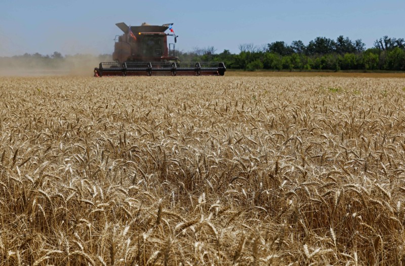 A_SHEKH0VTS0V's tweet card. Russian companies are shipping pillaged grain out of occupied Ukrainian ports. The apparent affiliate of a major Danish shipping inspection company, Baltic Control, is being paid to assist.
