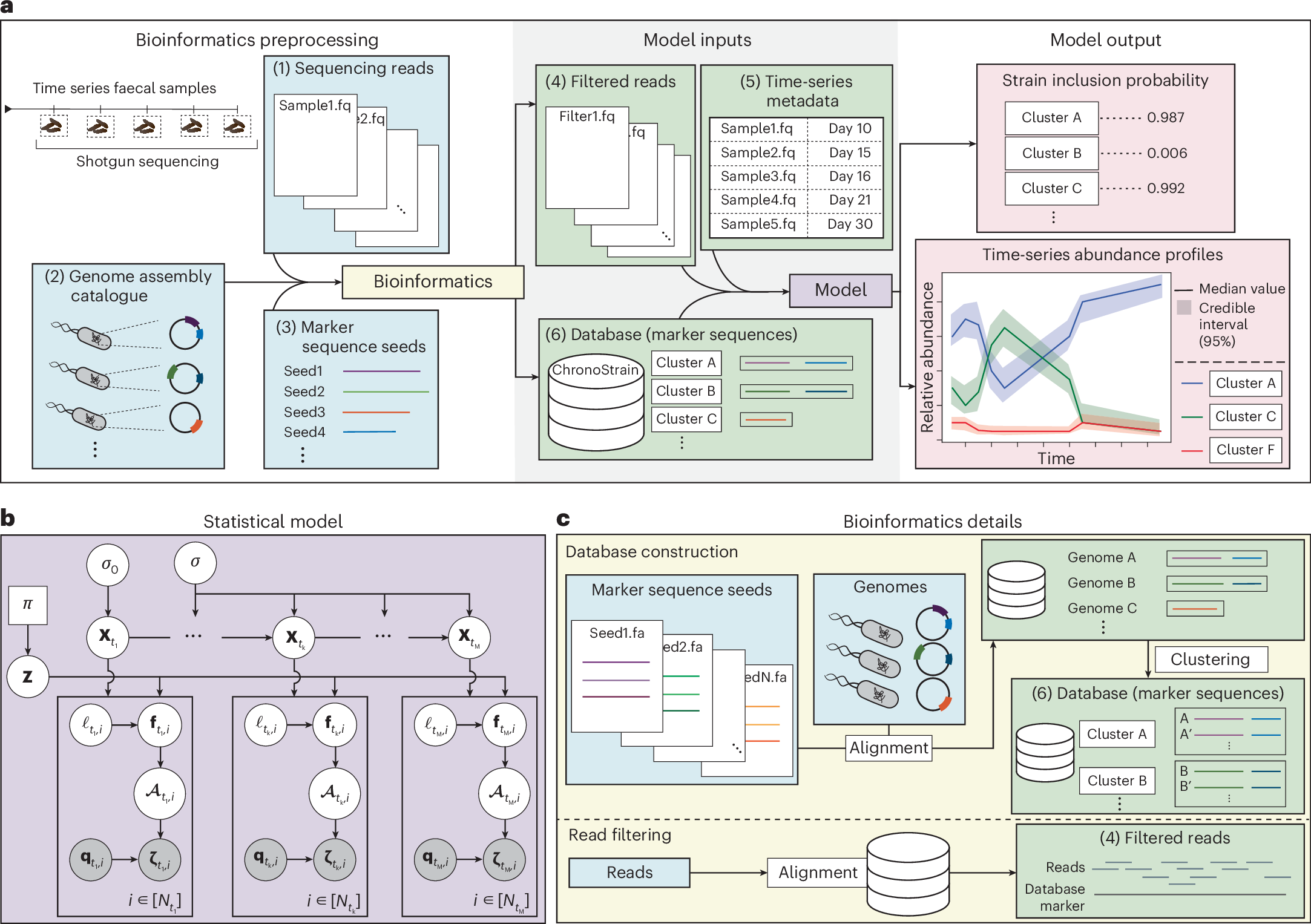 GibsonLab's tweet card. Nature Microbiology - ChronoStrain accurately profiles low-abundance strains in longitudinal samples by jointly modelling nucleotide sequencing errors, strain presence/absence and the temporal...
