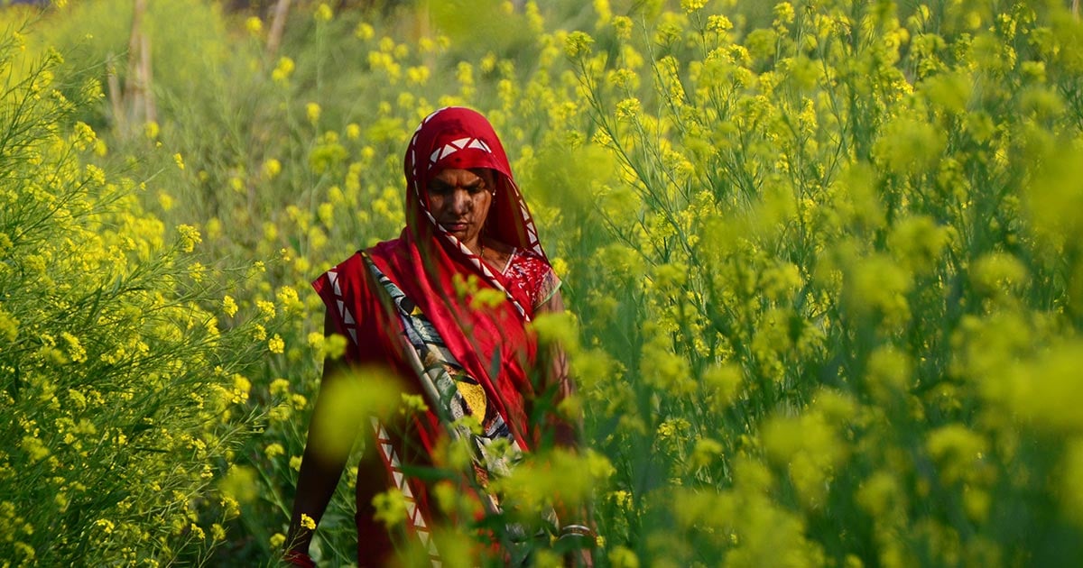orfonline's tweet card. Unconditional cash transfers are reshaping welfare by supporting women’s economic agency, voter turnout, and household well-being in India.