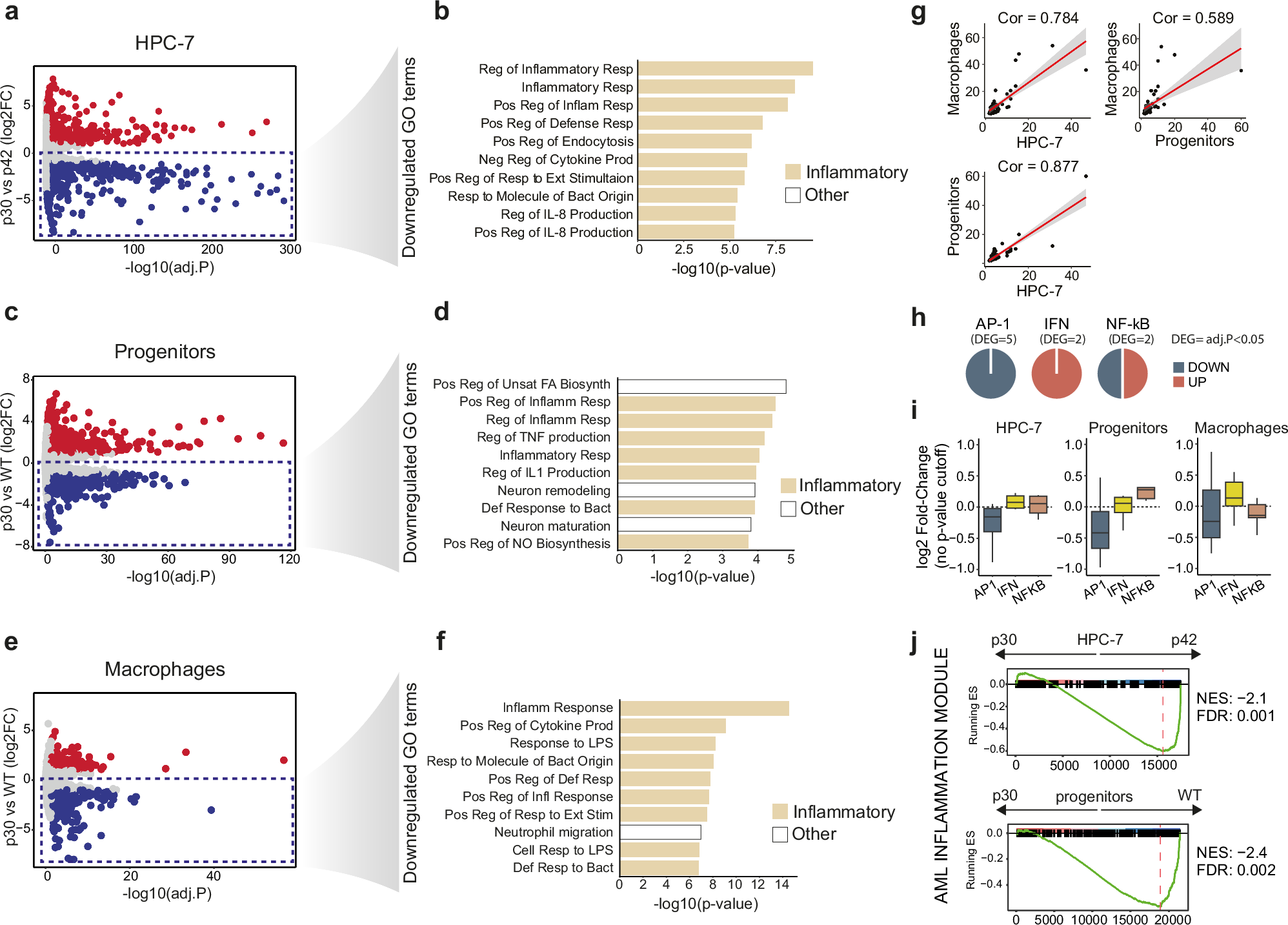 vaquerolab's tweet card. Nature Communications - CEBPA is frequently mutated in acute myeloid leukemia (AML), but the transcriptional impact of the AML-associated isoform remains unclear. Here, the authors show that...