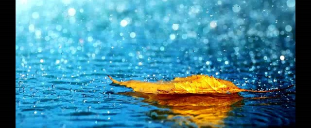 _anandaonly's tweet card. | 6 MINUTE READ | Unconditional love & the transcendence of loss