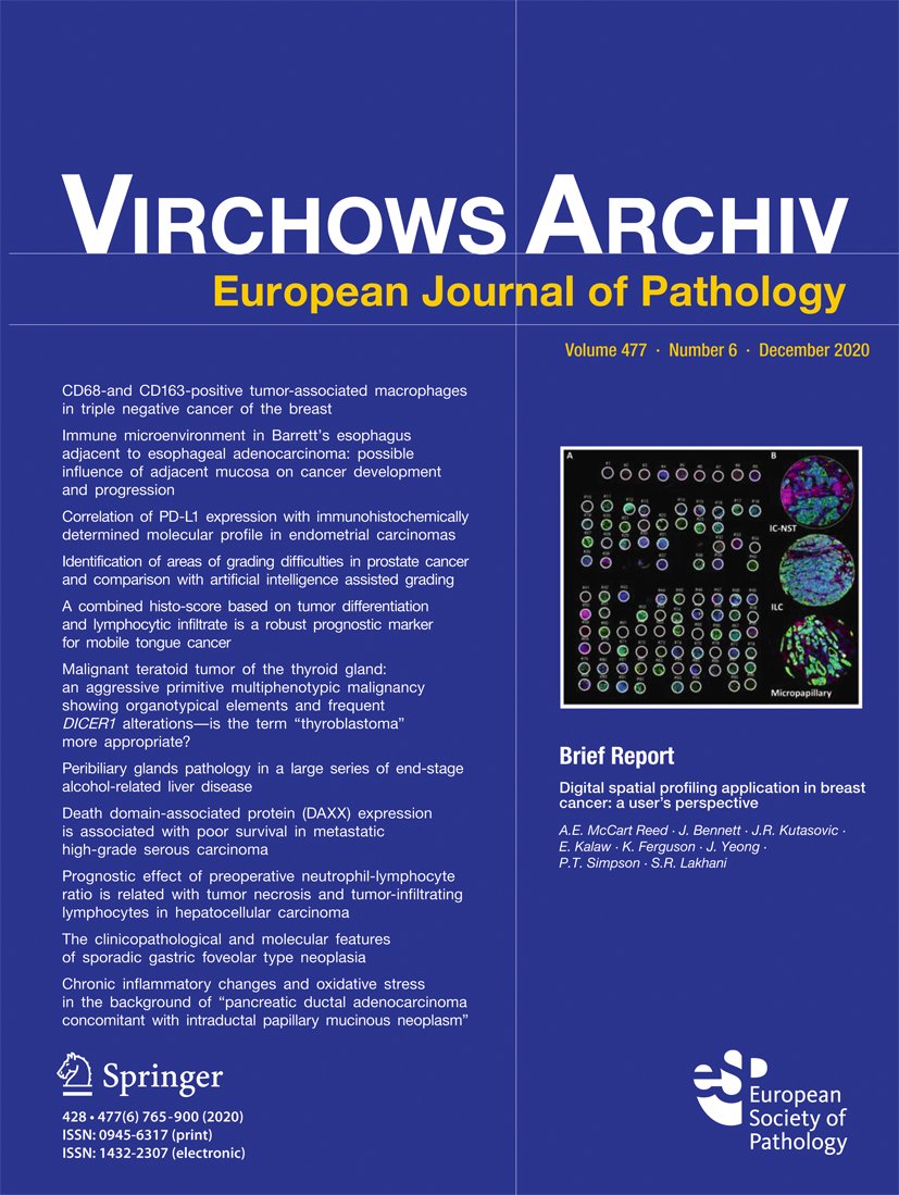 SpringerPath's tweet card. Virchows Archiv -