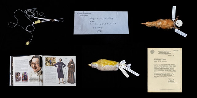 audubonsociety's tweet card. From a gynandromorphic grosbeak to feathers collected at a murder investigation in Florida, biographer Chris Sweeney shares six unusual artifacts he found while researching his new book about the...