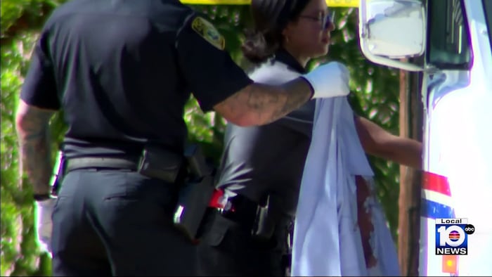 WPLGLocal10's tweet card. Biscayne Park police said a mail carrier was in “good spirits” and released from the hospital Tuesday after being stabbed in the torso Monday afternoon.