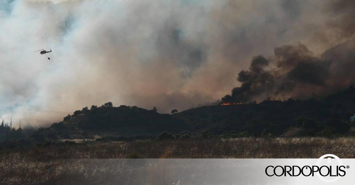 eldiarioAnd's tweet card. La Junta activa el nivel 1 de emergencia en Córdoba