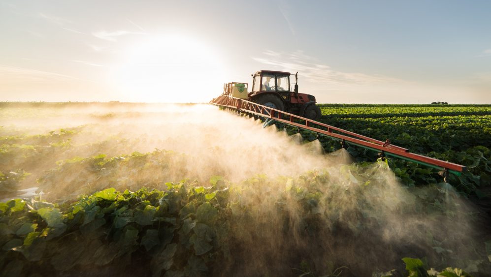 AmericanAgNet's tweet card. Grains are mostly lower with spring wheat trying to hang on to some green as we head to the weekend. Meanwhile, fertilizer markets are again getting some attention on Friday. Mike Castle, Senior...