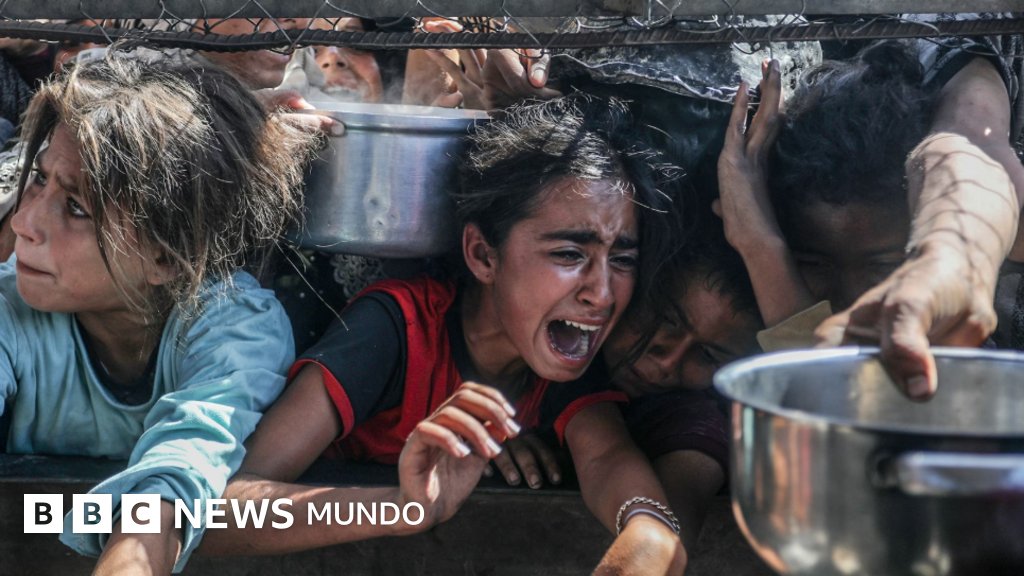 bbcmundo's tweet card. El hambre se ha utilizado a lo largo de la historia en varios conflictos como medio estratégico para alcanzar objetivos políticos y militares, con efectos desastrosos para la población civil.