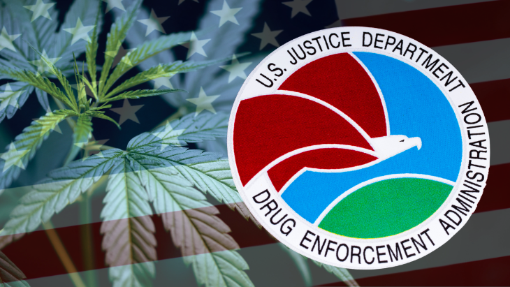 NORML's tweet card. Throughout his tenure at the DEA and in law enforcement, Cole held a hardline approach against the use of marijuana -- including claiming that its use "stunts brain growth" and is linked to an...