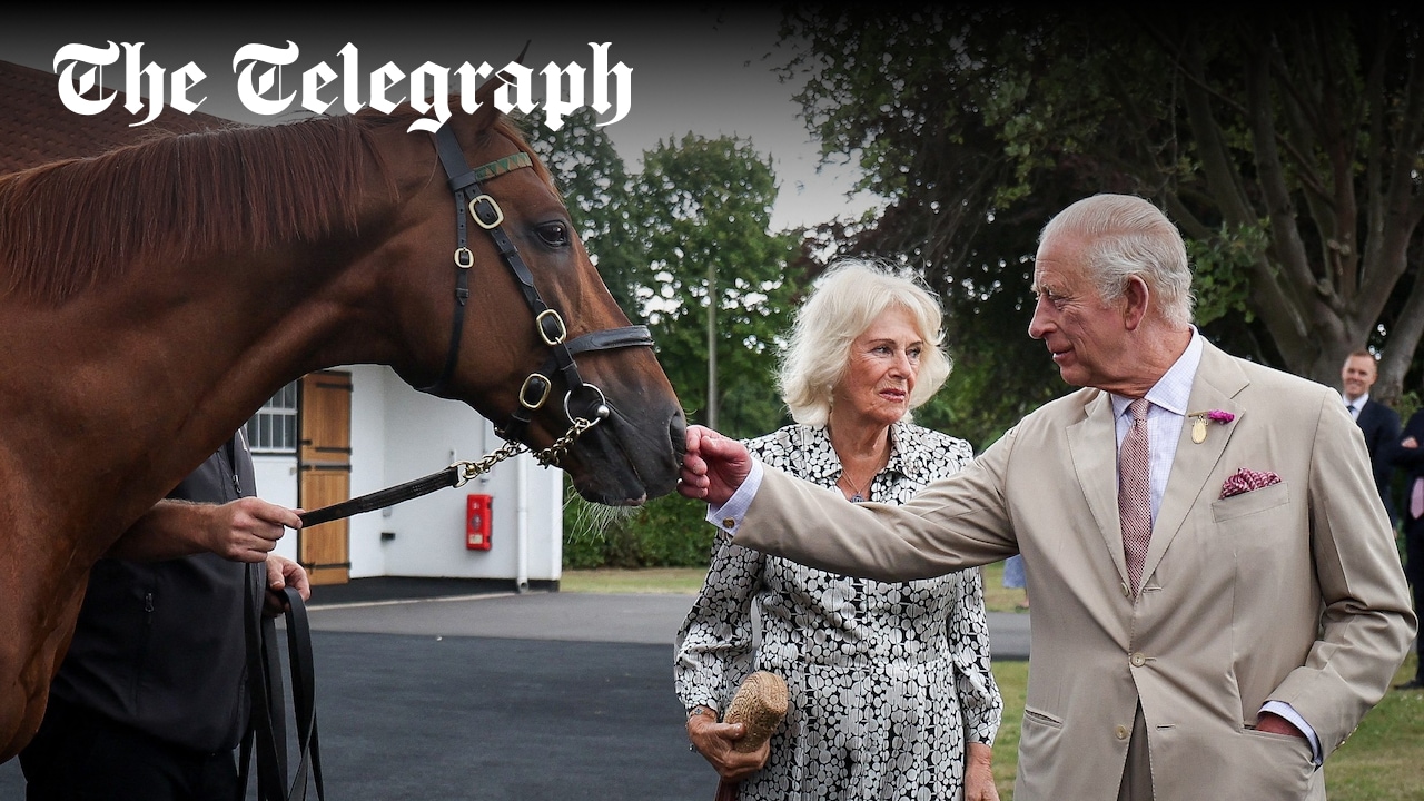 TelegraphRoyals's tweet card. Monarch hoping to have a winner of the Epsom Derby, the one classic horse race that Queen Elizabeth II did not have success in