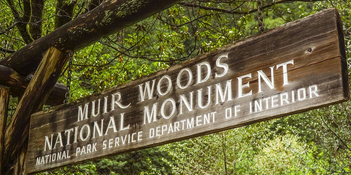 TheAdvocateMag's tweet card. NPS removed historical information about women and race from signs at the Muir Woods National Monument.