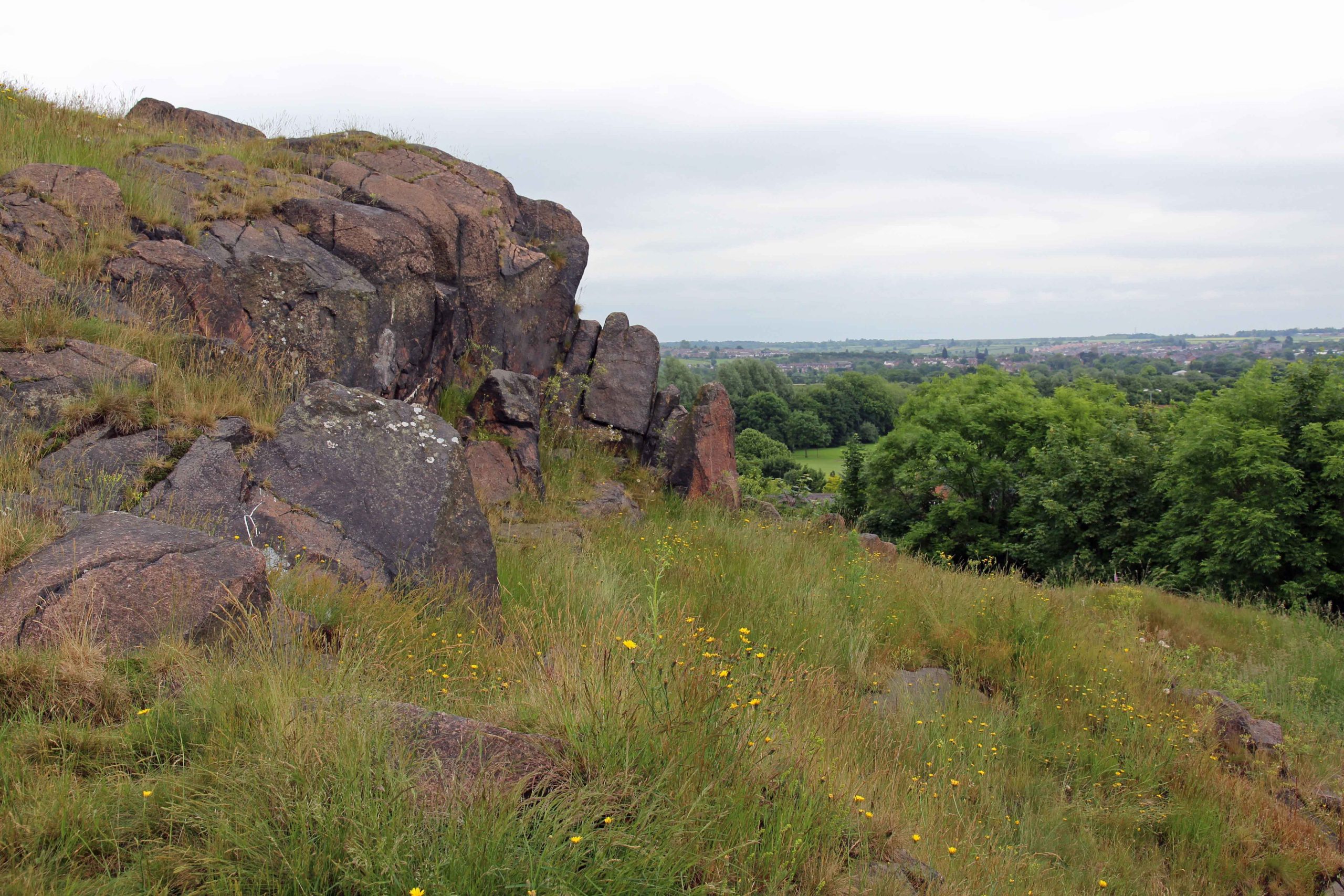 VaughanCoop's tweet card. A talk by Dr Ann Stones which considers contemporary medieval perceptions of Charnwood using maps, place-names, landscape and archaeological evidence.