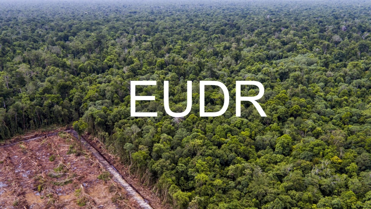Neptali1309's tweet card. Sunpress Weekly Bulletin - Issue 19 The European Union Parliament recently voted to delay the EUDR’s implementation till the 31st of December 2025. This decision affords businesses producing and...