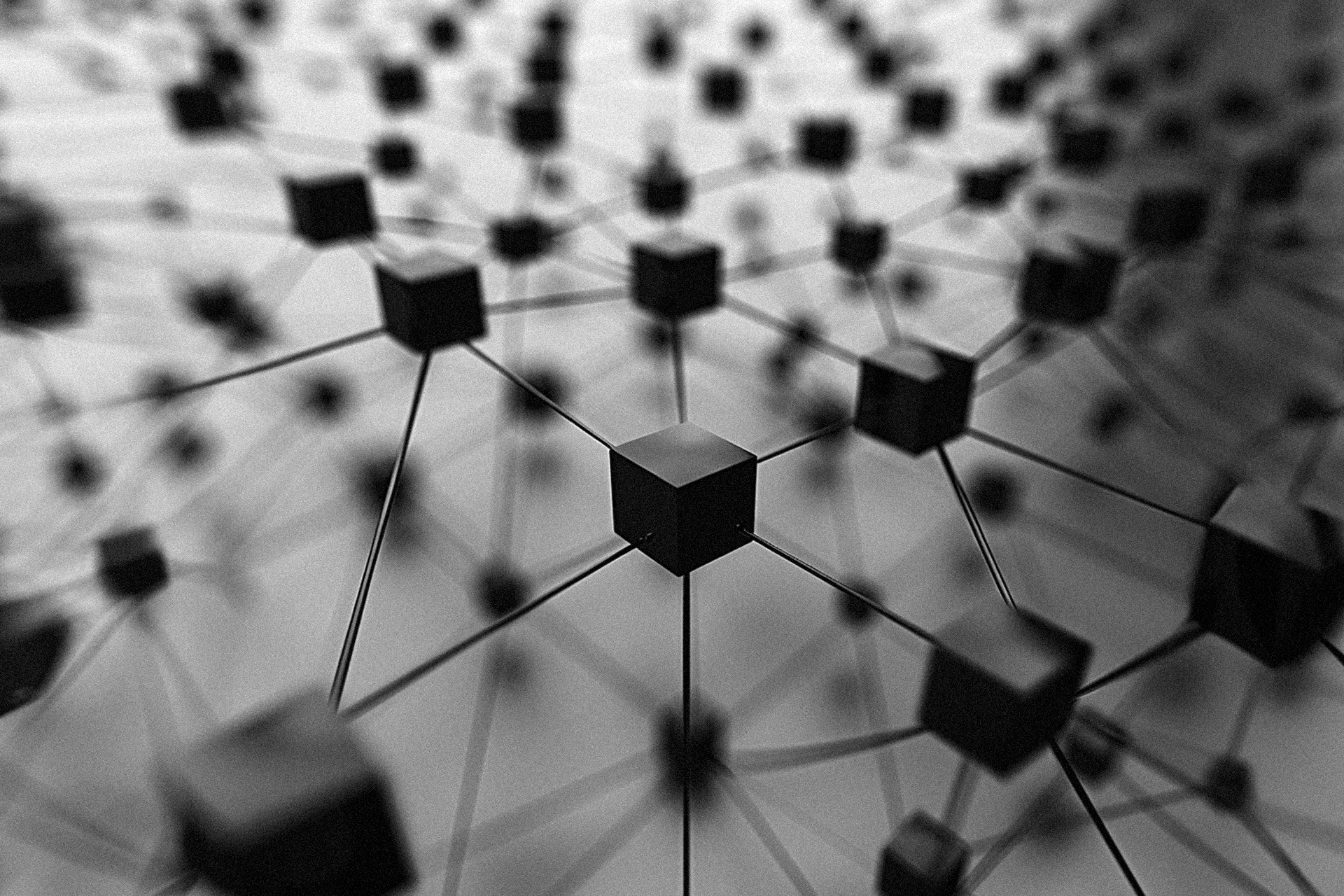 Codex_storage's tweet card. Welcome to the Codex newsletter. Our monthly update offers a regular look into the development of the decentralised durability engine and peer-to-peer storage protocol. Every month, we explore key...