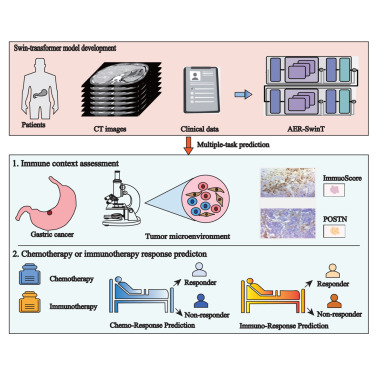 CellRepMed's tweet card. Sang et al. develop a multitask deep learning model, the residual Swin Transformer network, from radiographic image and clinical data, which allows non-invasive evaluation of adjuvant chemotherapy...