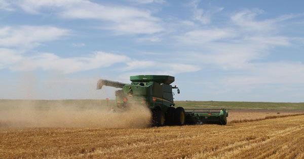FarmTalkNews's tweet card. This is day eight of the Kansas Wheat Harvest Reports, brought to you by the Kansas Wheat Commission, Kansas Association of Wheat Growers, Kansas Grain and Feed Association and the