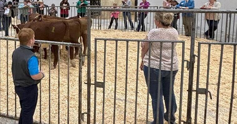 FarmTalkNews's tweet card. University of Missouri Extension recently hosted the 2025 State 4-H Livestock Judging Contest on at the Trowbridge Livestock Center in Columbia. The event drew 87 youths from across the state