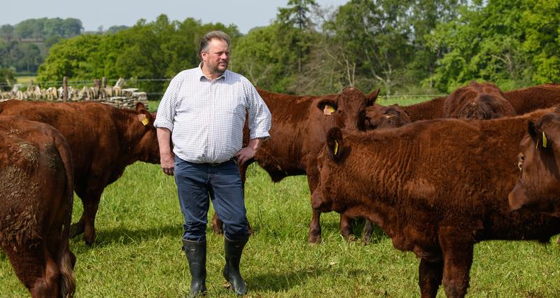 JDRoyle's tweet card. The NFU has launched a vision for British beef which sets out how farmers, processors, retailers and government can work together to secure a thriving, profitable and sustainable future for the...