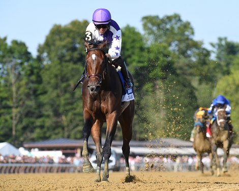 BloodHorse's tweet card. Porter on Pedigrees