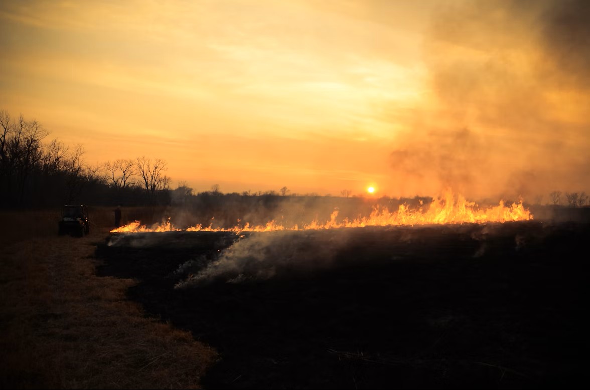 ceprdc's tweet card. Trump’s Billionaire Bill cuts key wildfire prevention and forest protection funds, raising fire risks across the US.