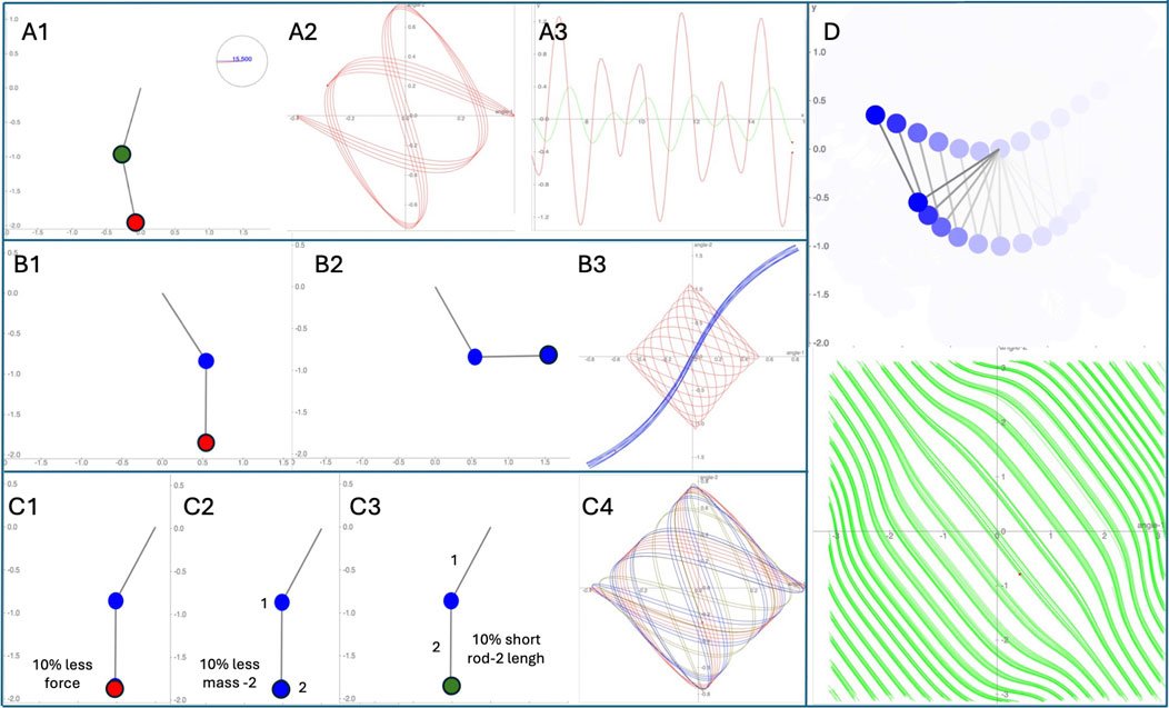 FrontNetPhysiol's tweet card. A steadily increasing number of publications support the concept of physiological networks, and how cellular bioelectrical properties drive cell proliferatio...