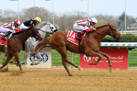 BloodHorse's tweet card. The $135,000 Curlin Stakes at Saratoga is not a time-honored path to the Travers Stakes (G1). Yet the Curlin serves a purpose as one last chance to swim in a shallow pond before heading over to much...