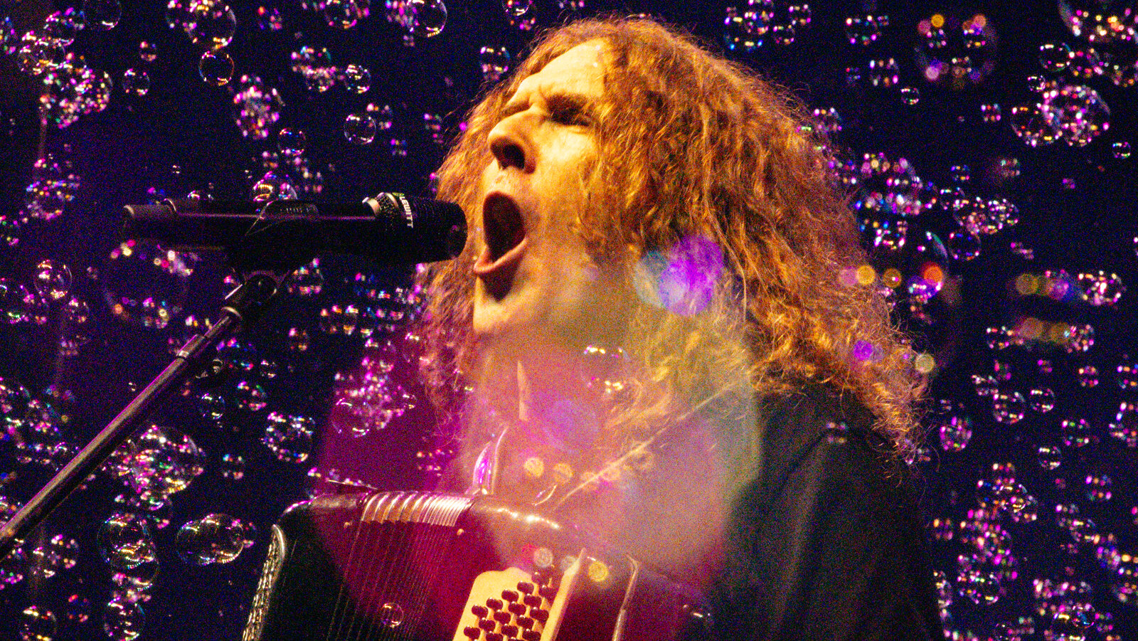 weirdalupdates's tweet card. At Weird Al Yankovic’s sold-out Madison Square Garden debut, pop culture’s foremost song parodist was feeling the love.