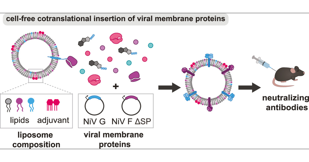 Stjle's tweet card. Membrane proteins expressed on the surface of enveloped viruses are potent antigens in a vaccine, yet are difficult to produce and present due to their instability without a lipid scaffold. Current...