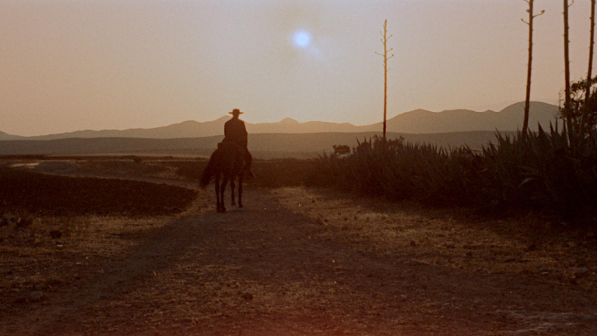 ApocalypseJow's tweet card. For a Few Dollars More stands out as a breathtaking gem in Sergio Leone's iconic spaghetti western collection. This film is a visual feast, masterfully shot to encapsulate the wild chaos of the…