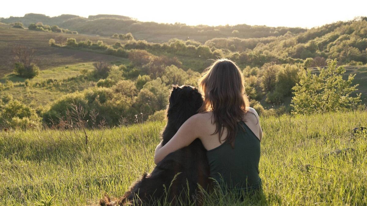 irishexaminer's tweet card. Dogs Trust Ireland has reported a 112% rise in 5 years in the number of people giving up pets because they're not permitted in their new home