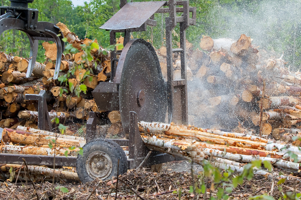 rff's tweet card. A Comparative Analysis of Timber Harvesting, Timber Supply, and Tree Planting Across Ownerships and Regions of the United States
