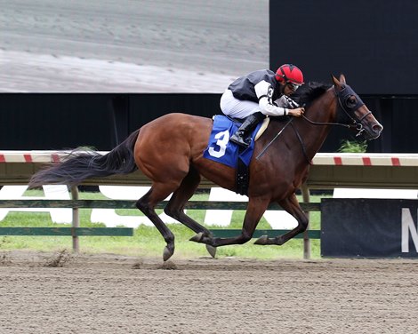 BloodHorse's tweet card. Maiden Watch: Week of July 14-July 20