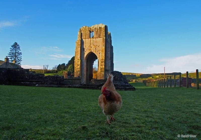 paul_steele's tweet card. The River Lowther runs by through a calm, peaceful Cumbrian valley and on the side of the river stands the delightful ruins of Shap Abbey