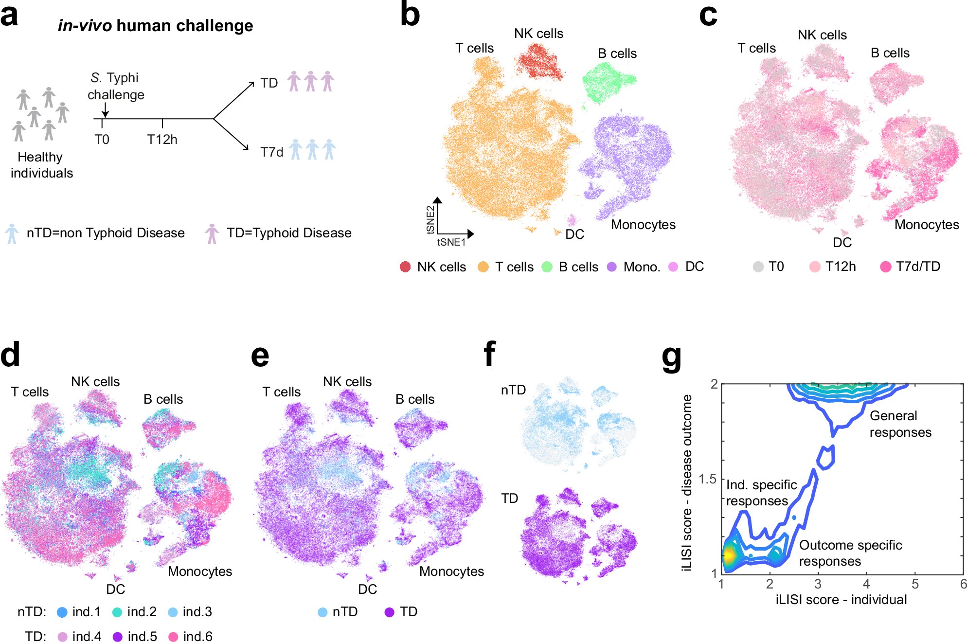 RyanLab_MBU's tweet card. Nature Communications - Here, the authors link early immune cell hypoxia signatures to typhoid disease development in humans and, using mouse models, show that this immune response is triggered by...
