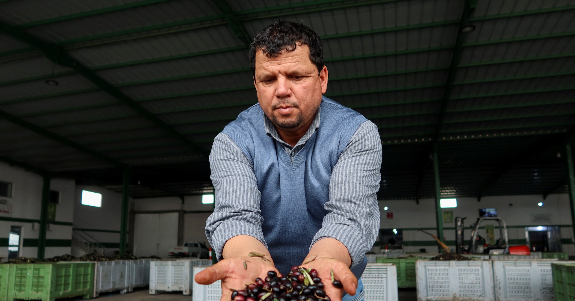 amara_tarek's tweet card. Award-winning Tunisian olive oil producer Mustapha Mtiraoui could make far more money by exporting his produce in labelled bottles, rather than shipping it in bulk.