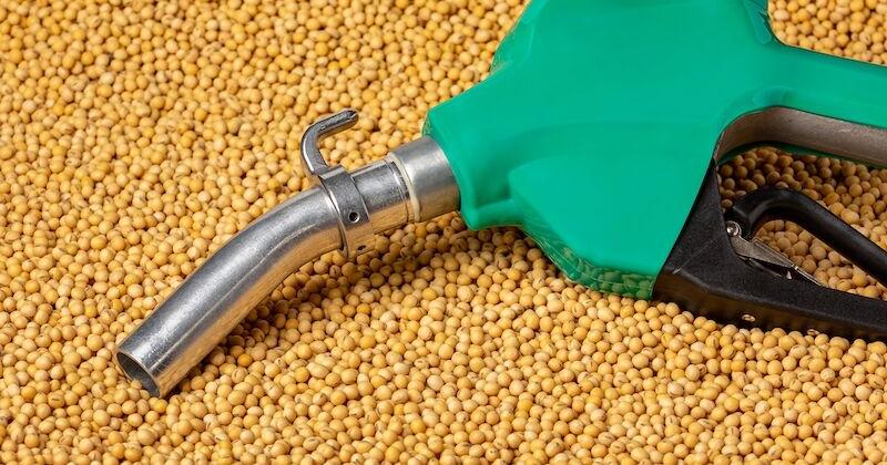FarmTalkNews's tweet card. The passage of the One Big Beautiful Bill Act included a revision of the 45Z biofuel tax credit.