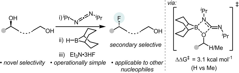 SPThomasGroup's tweet card. Borane-mediated deoxyfluorination of in situ generated N-H-O-alkyl-isoureas using Et3N ⋅ 3HF represents a novel approach to achieve a highly 2°-alcohol-selective substitution in preference to...