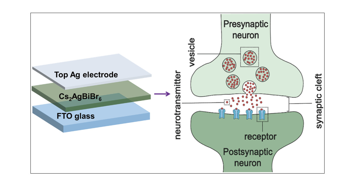 ML_Chem's tweet card. The lead-free double-perovskite Cs2AgBiBr6, which combines nontoxicity with superior stability, has been highlighted as an ecofriendly alternative to lead-halide perovskites in photoelectric devices...