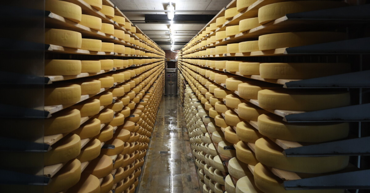 le_Parisien's tweet card. 200 tonnes de fromages de Savoie bloquées après la détection de cas de dermatose nodulaire contag...