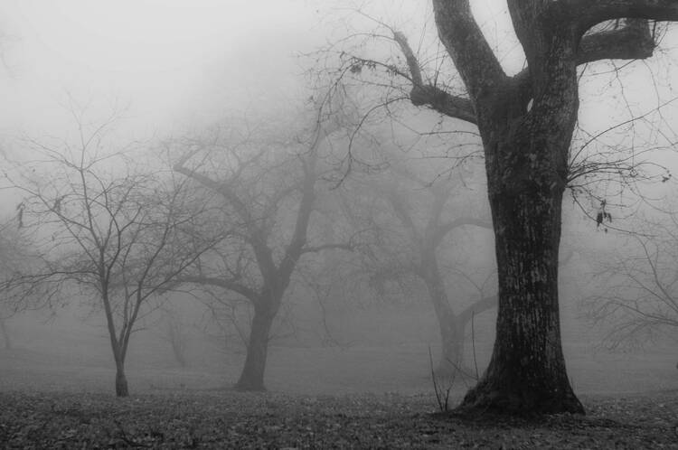 americamag's tweet card. “The definition of desolation is notoriously slippery,” Father James Martin writes. “It is not simply a period of dryness in prayer, which is common to everyone.”