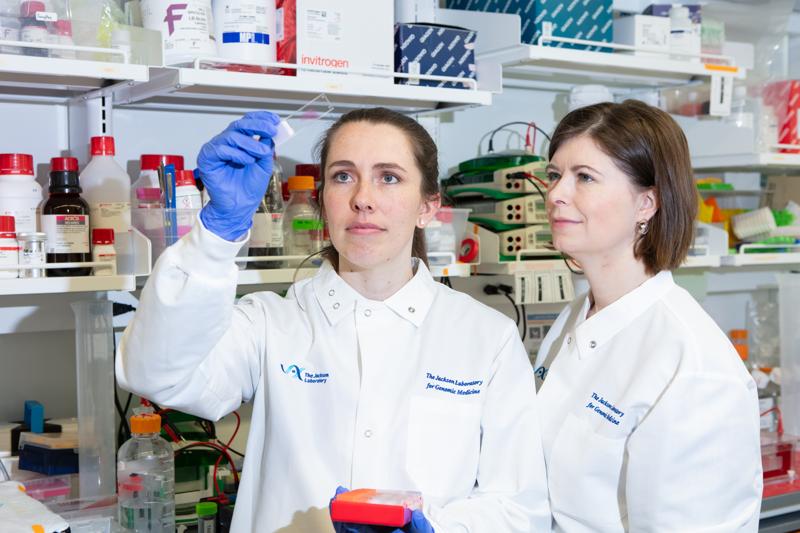 jacksonlab's tweet card. JAX researchers create a landmark atlas revealing how breast tissue changes with age and how those changes may shape the risk of breast cancer.