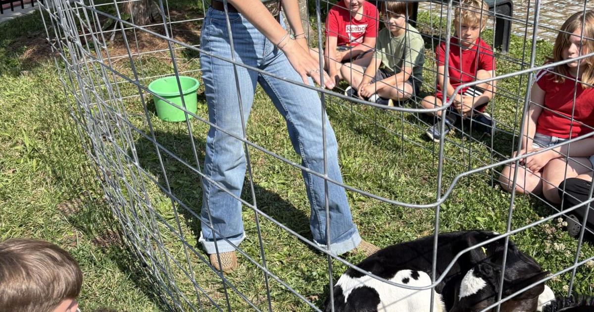 FarmTalkNews's tweet card. Lamar elementary students have enjoyed hands-on lessons about agriculture during enrichment programming this summer. The school partnered with Missouri Farmers Care’s Agriculture Education on the...