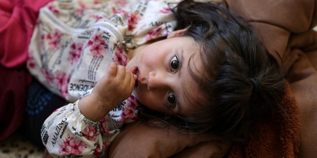 TodayAssyria's tweet card. Syrian Christian leaders say Islamist government can't protect them or Druze - Detroit Catholic
