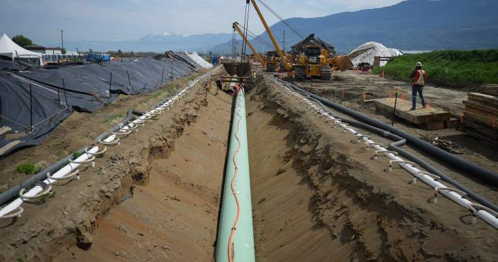 CKNW's tweet card. Coastal First Nations in B.C. have issued an open letter to Prime Minister Mark Carney, asking him to reject any new proposal for a crude oil pipeline to the northwest coast.
