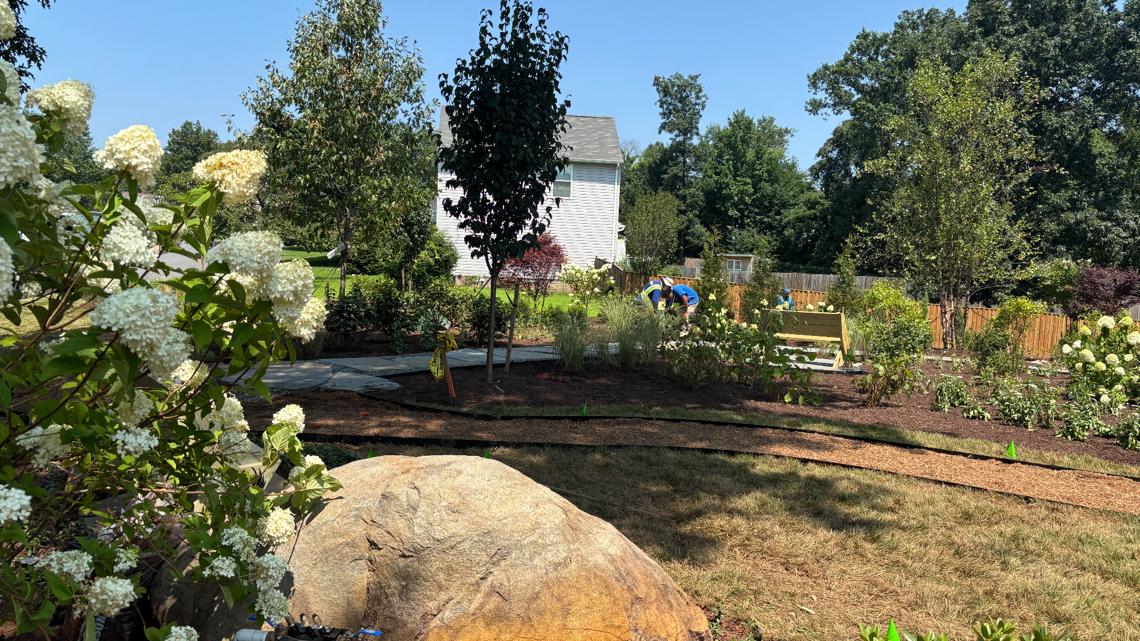 wusa9's tweet card. A memorial park established to honor Trevor Brown will have its grand opening ceremony on the same day as his 47th birthday.