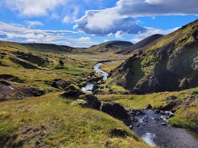 EcoSAGElab's tweet card. Research Our research spans the marine, freshwater, and terrestrial realms, and is linked by one key theme – the impact of environmental and anthropogenic stressors on food web structure Eoin…
