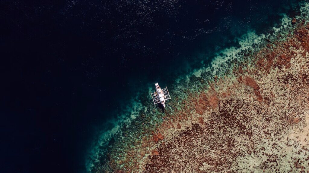 ISC's tweet card. During the 2025 UN Ocean Conference (UNOC-3), ocean experts Laura Pereira and Jean-Pierre Gattuso share their insights on how ocean science must transform to tackle interconnected and complex global...