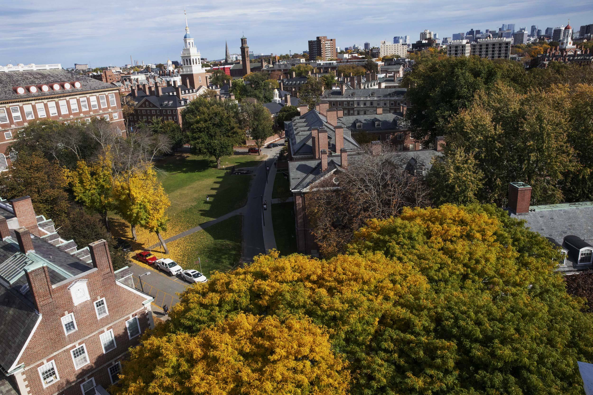 Harvard's tweet card. Provost Alan M. Garber, Harvard’s chief academic officer, will serve as interim president effective immediately.