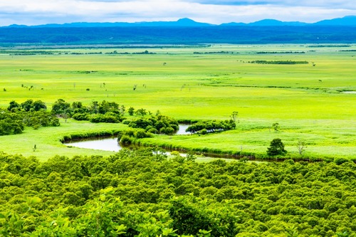 hamusoku's tweet card. 【北海道】釧路湿原を潰してメガソーラー建設している動画　エコとはなんなのか考えさせられると話題に : ハムスター速報
